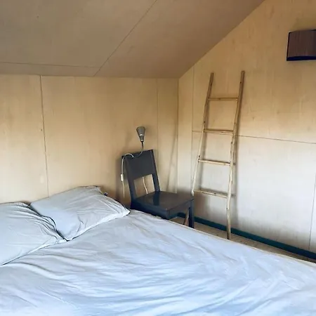 Ecological Wooden 4-bedroom Chalet At Texel De Koog (Texel)