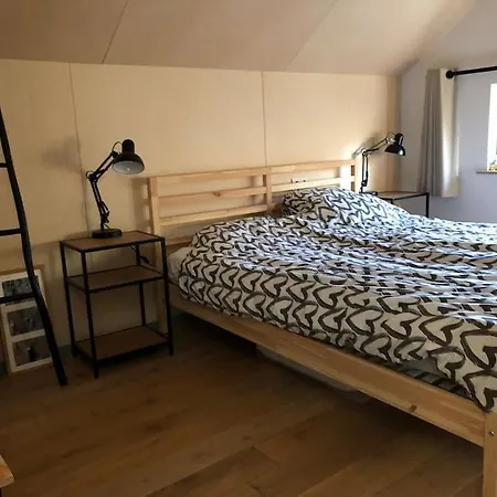Chalet Ecological Wooden 4-bedroom Chalet At Texel De Koog (Texel)