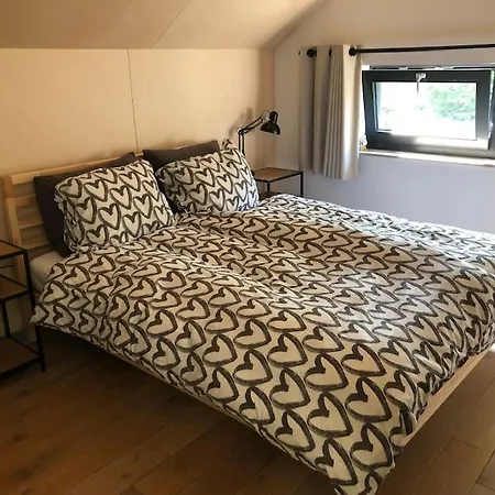 Ecological Wooden 4-bedroom Chalet At Texel