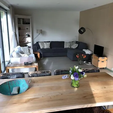 Ecological Wooden 4-bedroom Chalet At Texel Chalet De Koog (Texel)