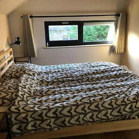 Ecological Wooden 4-bedroom Chalet At Texel